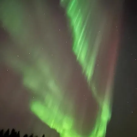 Pine Lägenhet Rovaniemi